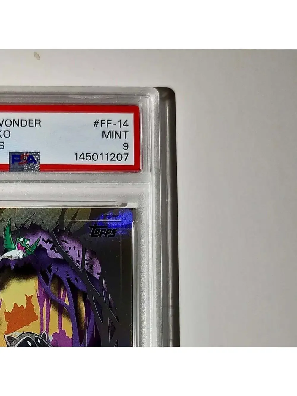 Flit and Meeko 2025 Topps Disney #FF-14 Furry Friends Card Pocahontas PSA 9